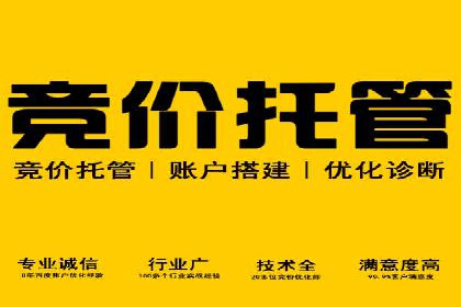 精准投放，高效转化——SEM竞价推广案例分享
